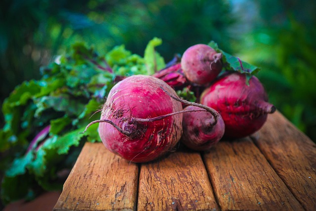 Pink Chioggia