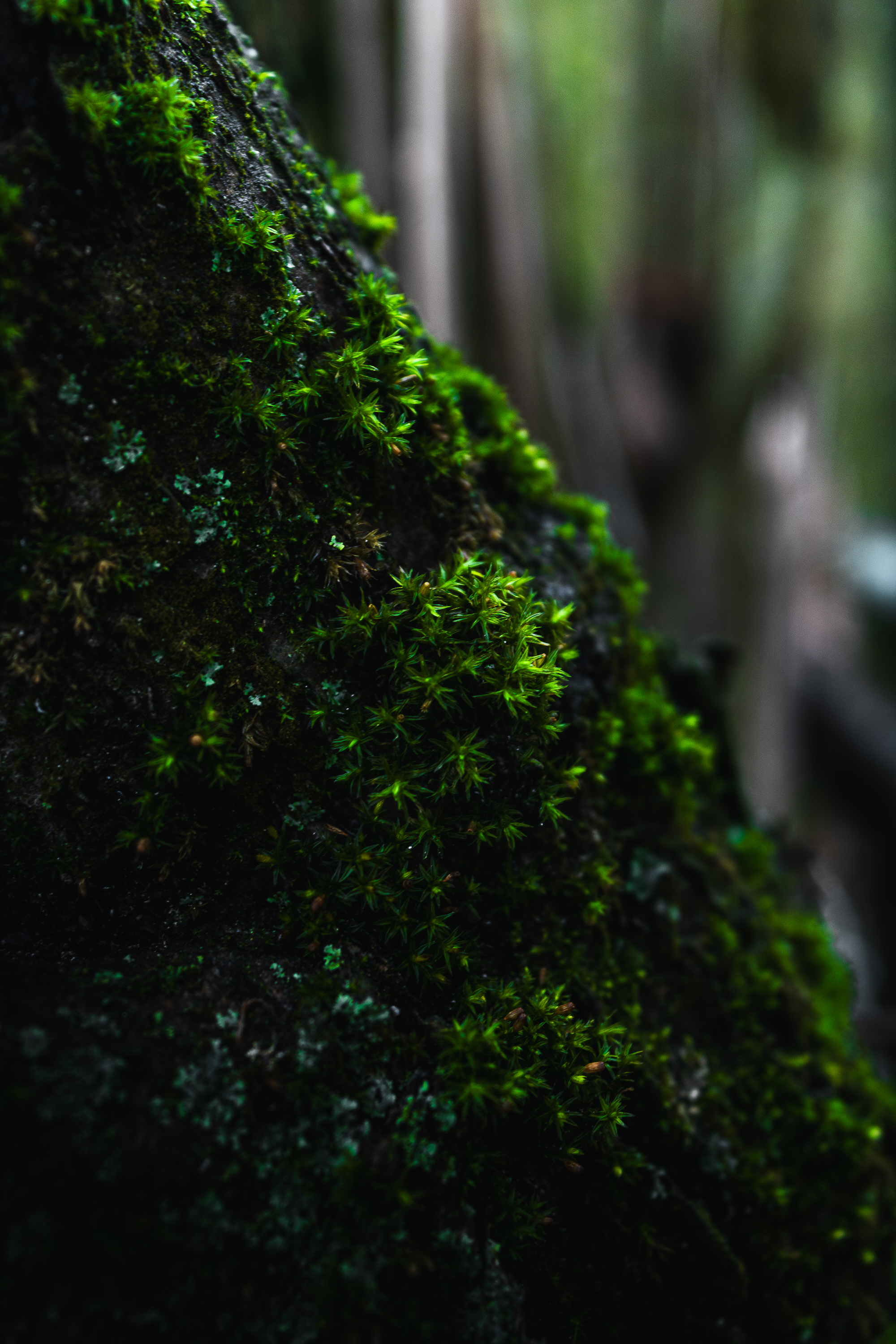 Csak úgy...mert szép