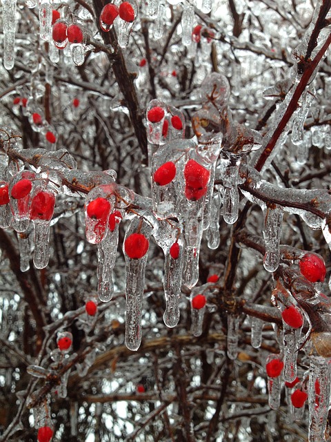 December