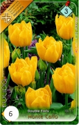 monte carlo tulipán