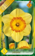 narcissus delibes
